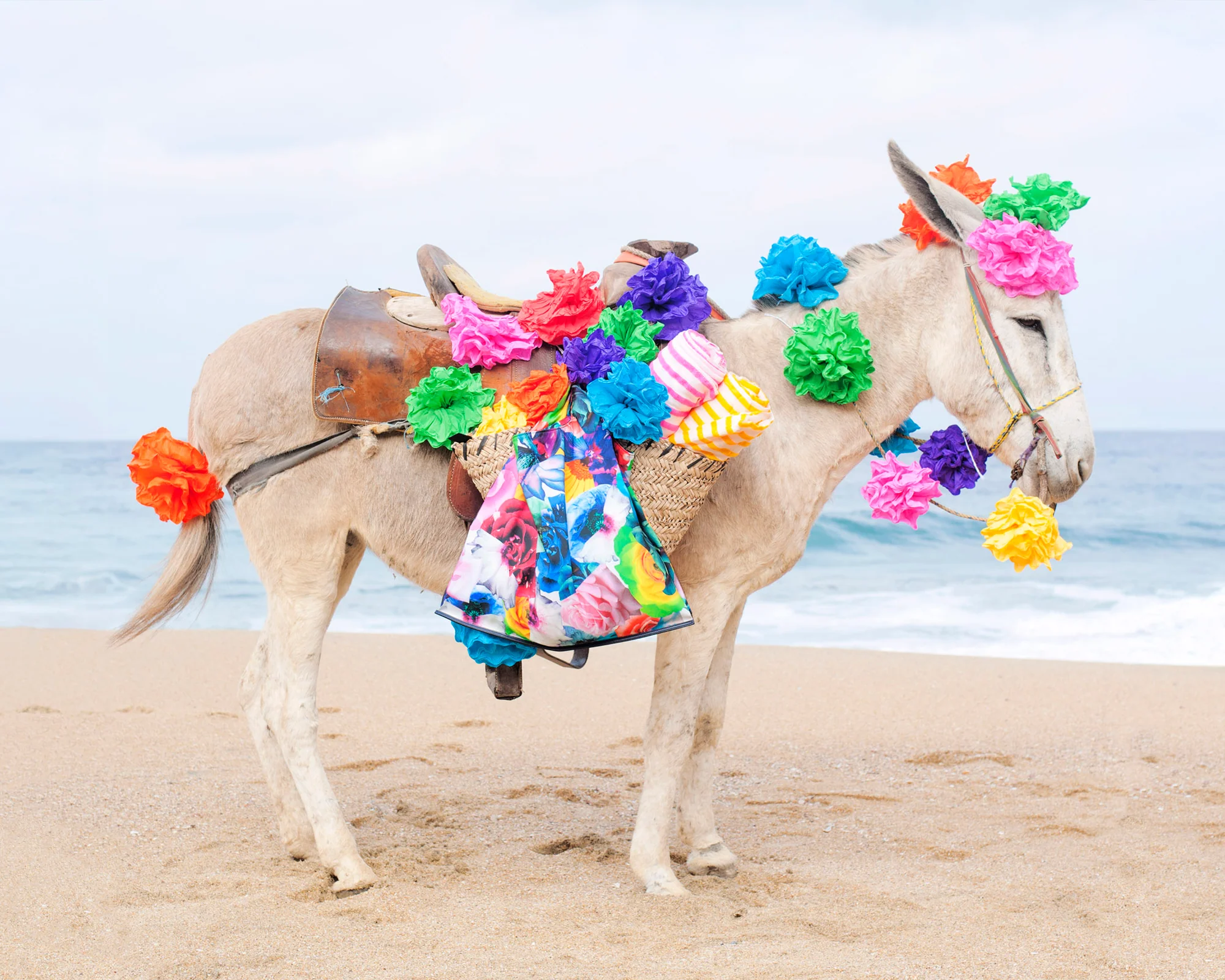 HappyDonkeyHorizontal-40x50_7
